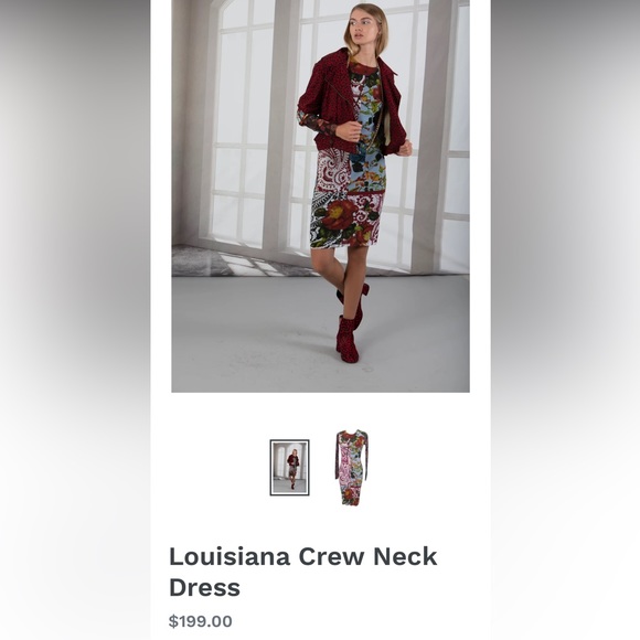 Louisiana Lined Combo Print Long Sleeve Crew Neck Dress size L- EUC - Picture 3 of 16